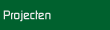 Projectbeschrijvingen