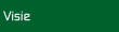 De visie van Viridi